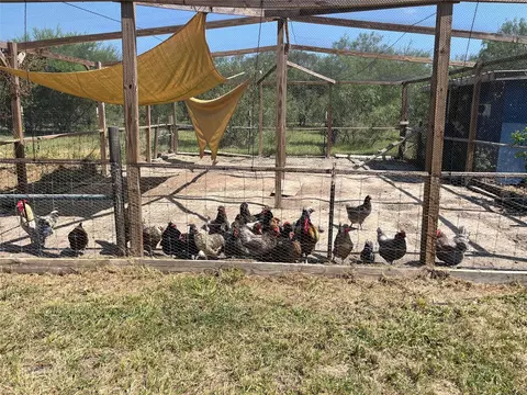 Exterior - 796 Shelly Rd, Refugio, TX 78377 photo 8 of 12