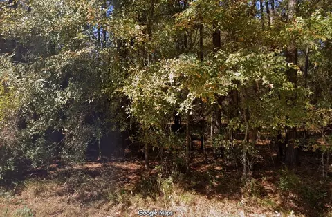 0 Anglers Dr, Trinity, TX 75862 photo 2