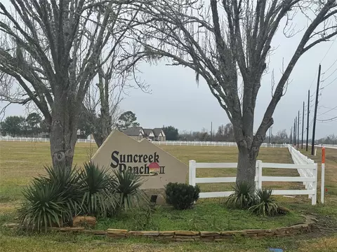 17218 Lucky Horse Dr, Rosharon, TX 77583