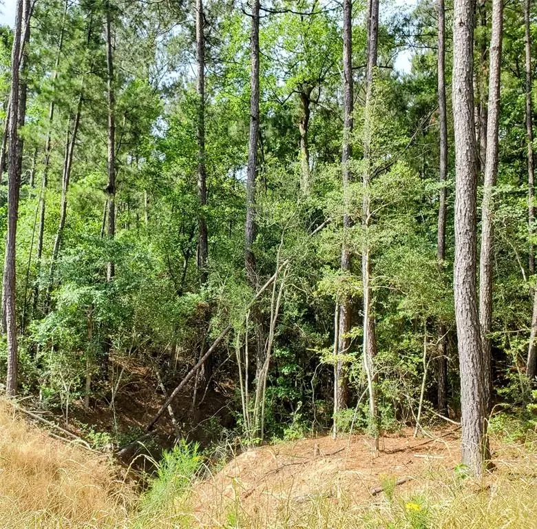 Tbd Lonestar Road, Huntsville, TX 77340 6 Photos Movoto