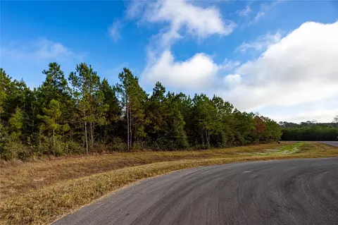 10517 Legends Rd, Willis, TX 77378 photo 3