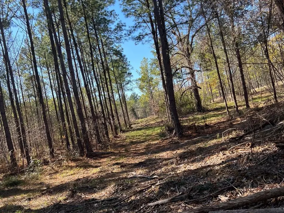  0 N N Farm Road 350, Livingston, TX 77351 photo 7