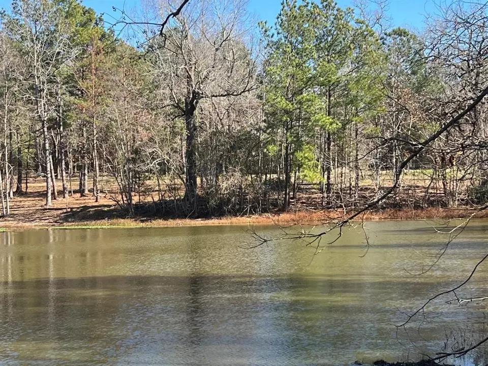  0 N N Farm Road 350, Livingston, TX 77351 photo 16