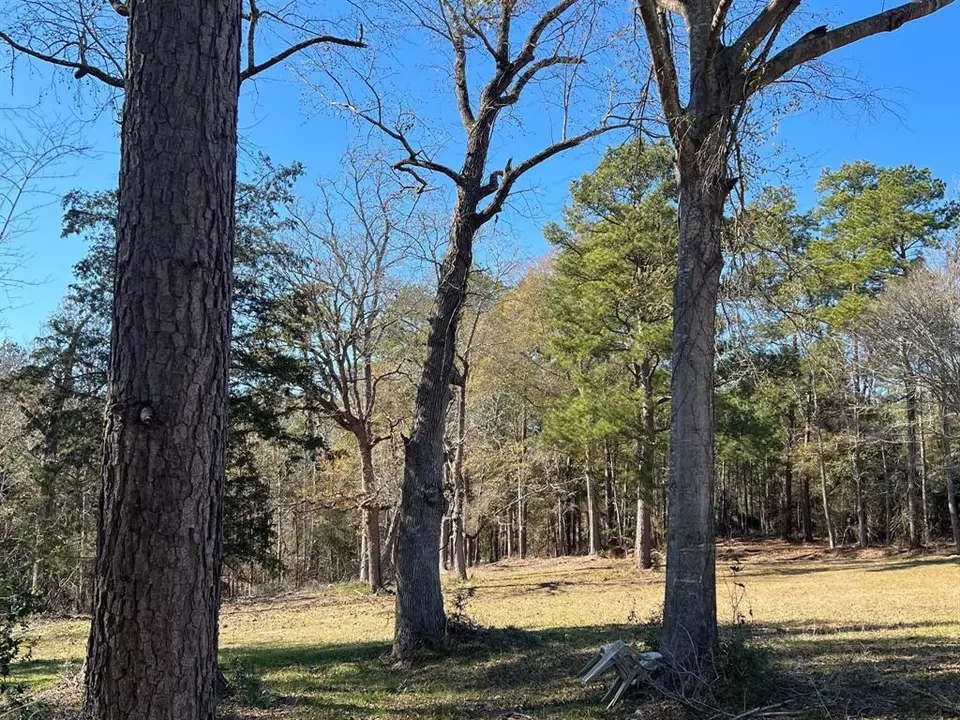  0 N N Farm Road 350, Livingston, TX 77351 photo 13