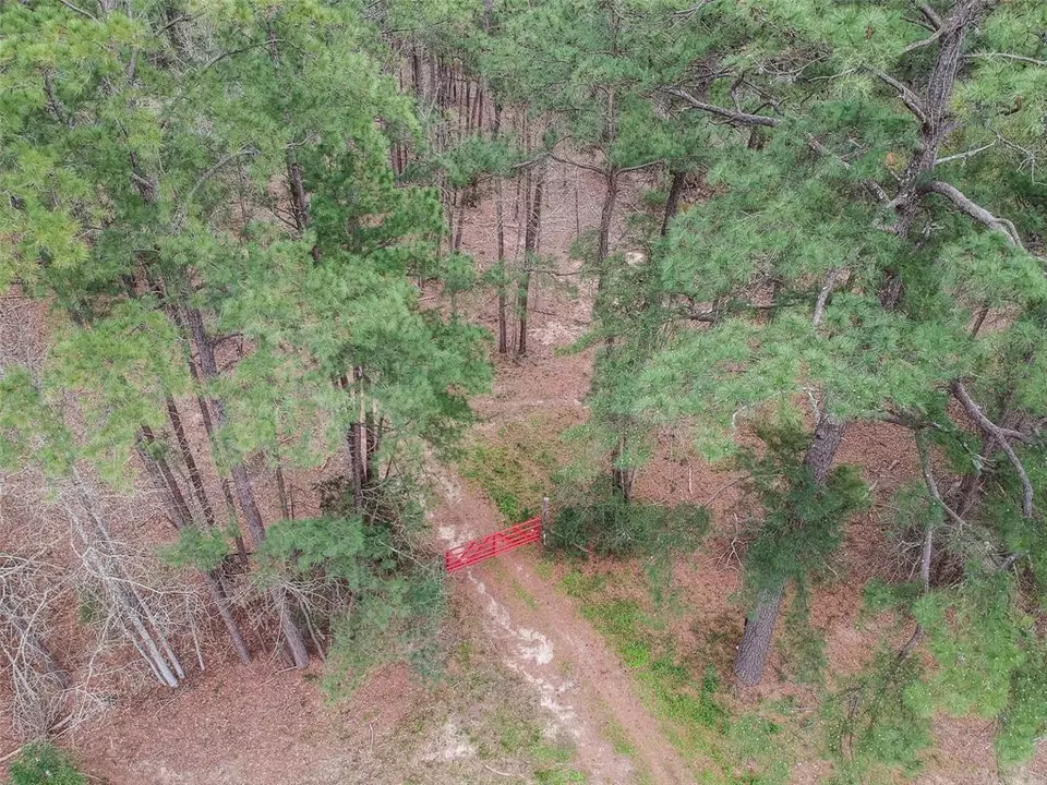  0 N N Farm Road 350, Livingston, TX 77351 photo 4