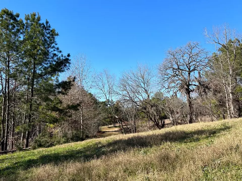  0 N N Farm Road 350, Livingston, TX 77351 photo 9
