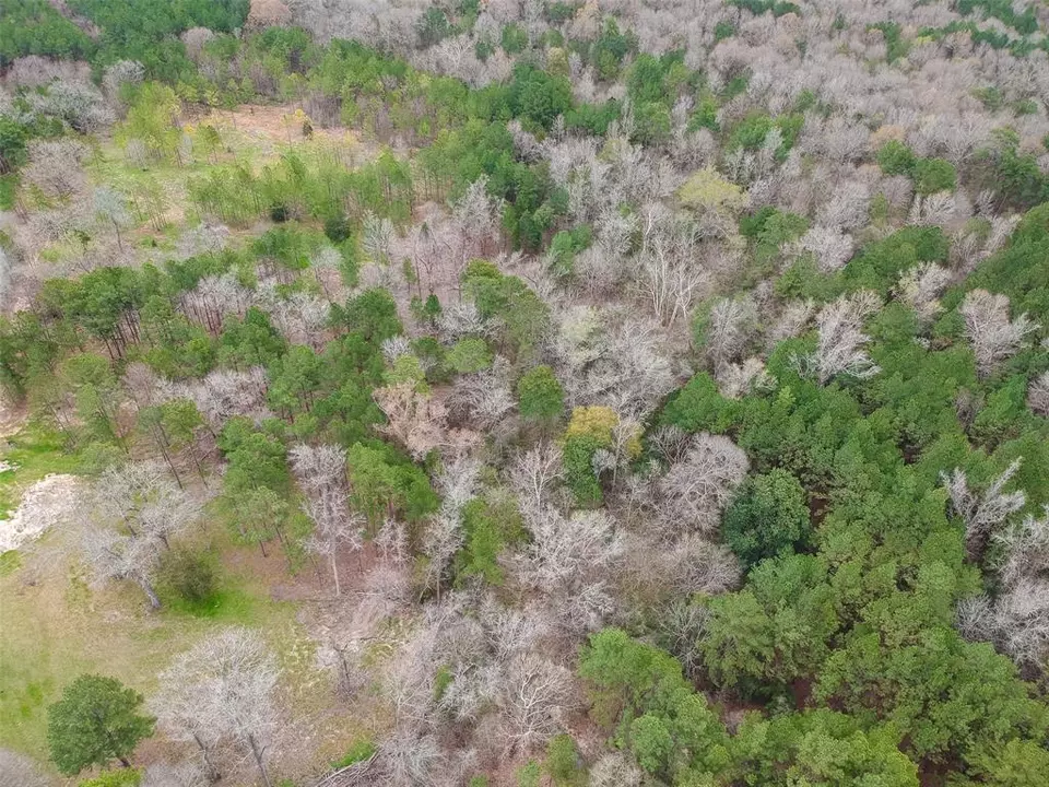  0 N N Farm Road 350, Livingston, TX 77351 photo 27