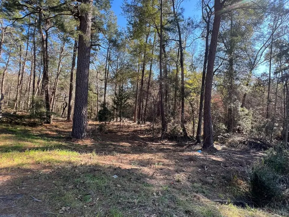  0 N N Farm Road 350, Livingston, TX 77351 photo 15