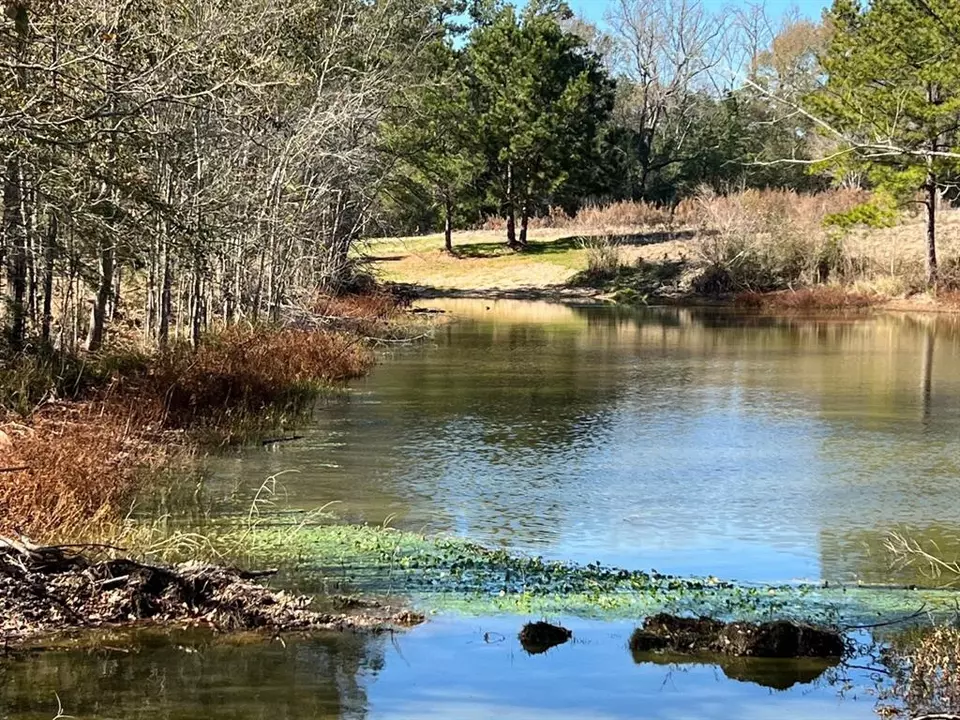  0 N N Farm Road 350, Livingston, TX 77351 photo 17