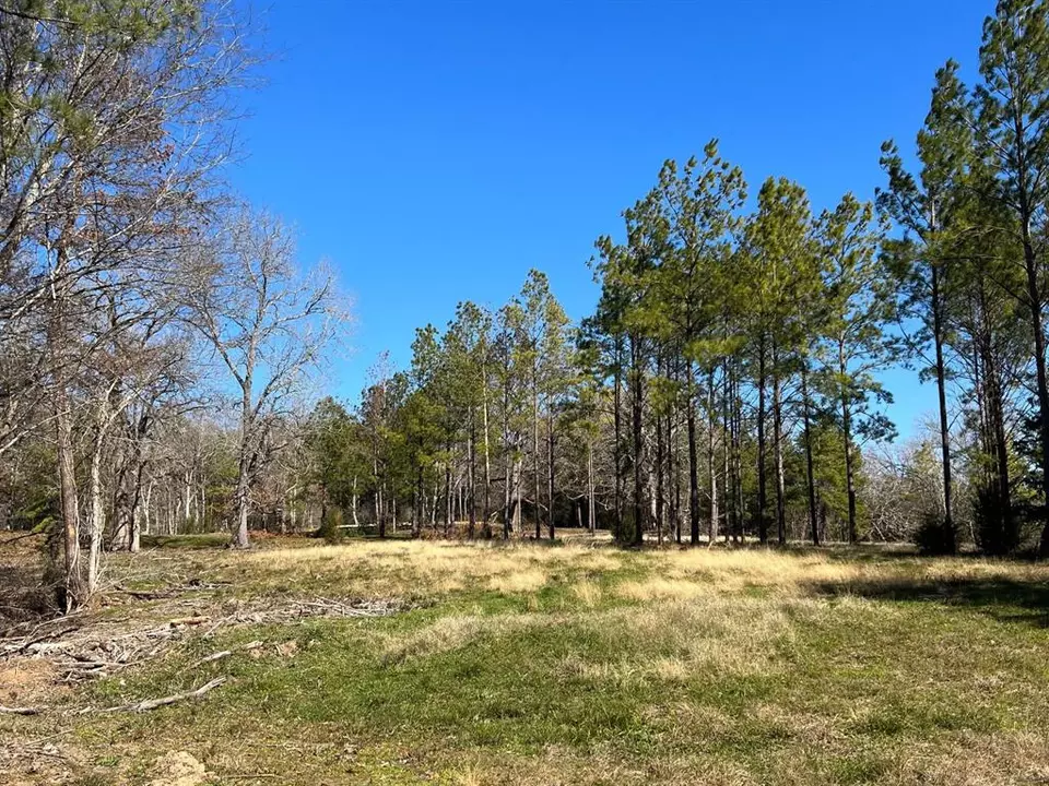  0 N N Farm Road 350, Livingston, TX 77351 photo 10