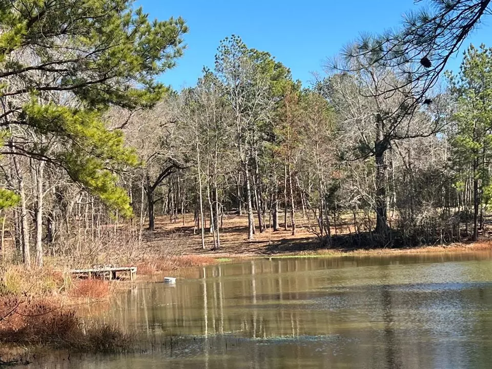 0 N N Farm Road 350, Livingston, TX 77351 photo 19