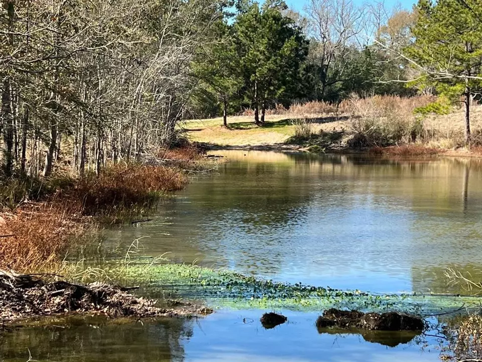  0 N N Farm Road 350, Livingston, TX 77351 photo 6