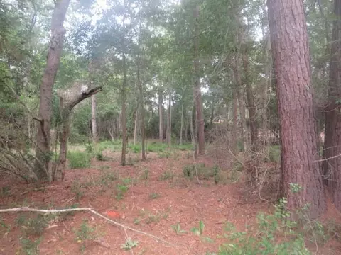 0 Alchester, Plantersville, TX 77363