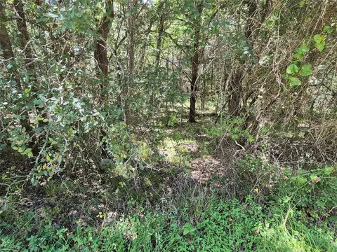 tbd Cedar Valley Dr, Coldspring, TX 77331 photo 4