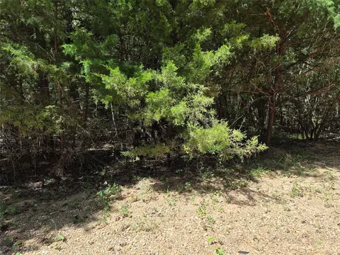 tbd Cedar Valley Dr, Coldspring, TX 77331 photo 7