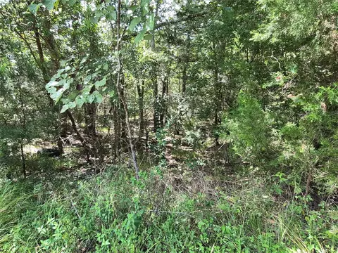 tbd Cedar Valley Dr, Coldspring, TX 77331 photo 3