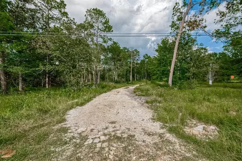 13316 Roy Harris Loop, Conroe, TX 77306 photo 1