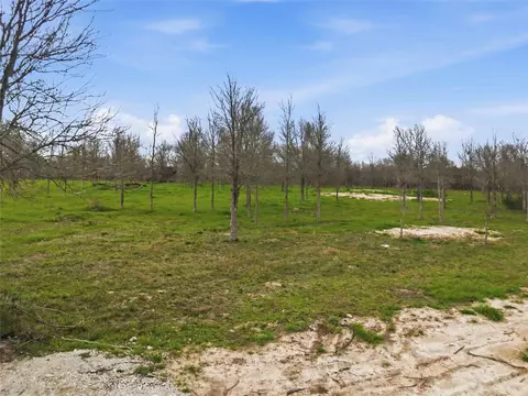 0 Willow Rd, Wallis, TX 77485 photo 10