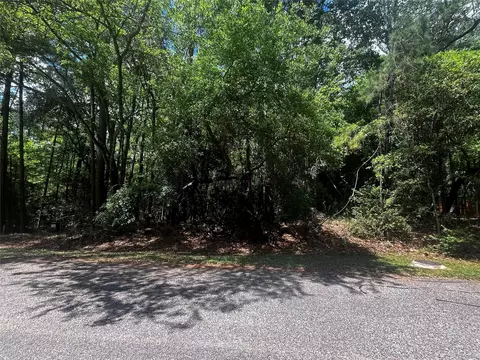 73 Sunny Hill Dr, Coldspring, TX 77331