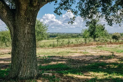 Other - 5802 Fm 50, Brenham, TX 77833 photo 4 of 9