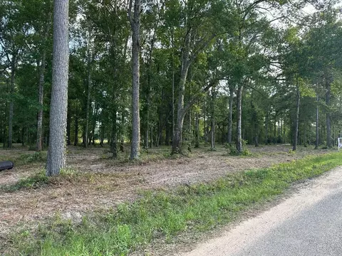 Tract 1-000 Tbd Blackburn Dr, Splendora, TX 77372