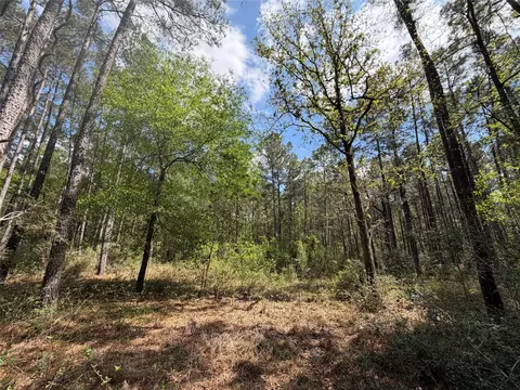 19 1 Dedication Trl # -6, Huntsville, TX 77340