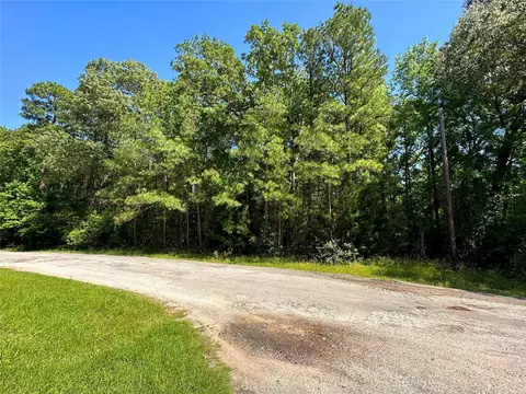 tbd Port Blvd, Trinity, TX 75862 photo 2