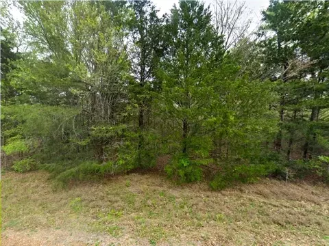 320 Oak Forest Rd, Somerville, TX 77879