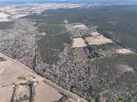 12 Highway 287, Pennington, TX 75845