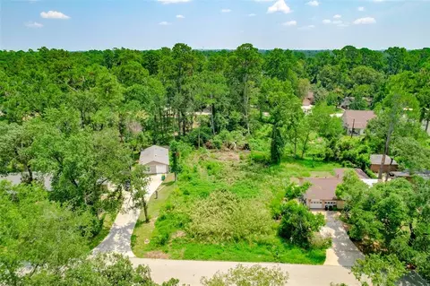 24410 Pine Canyon Dr, Spring, TX 77380 photo 1