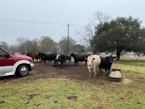 tbd Tx-321, Dayton, TX 77535