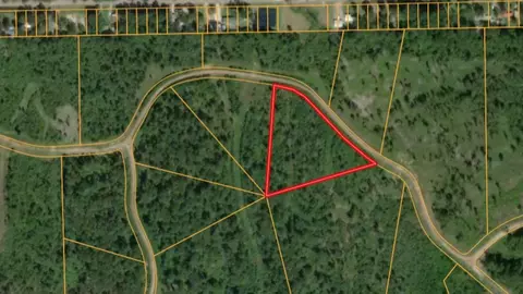 000 Eagle Falls Blvd, Trinity, TX 75862