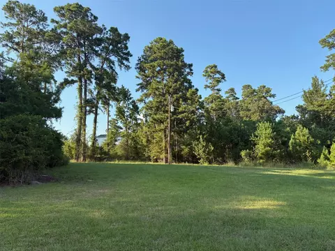 145 Pine Grove Dr, Livingston, TX 77351