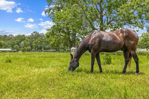 000 Tbd 3 Fm 1632, Woodville, TX 75979