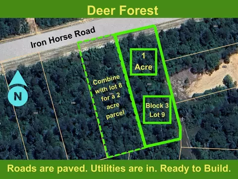350 Iron Horse Rd, Willis, TX 77378