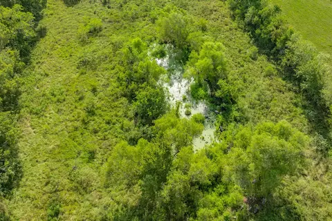 View/Area - 302 Britt Bailey Blvd, Angleton, TX 77515 photo 8 of 8