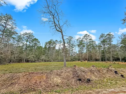 252 Amblewood Drive Dr, Brookeland, TX 75931