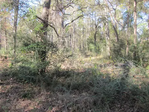 32602 Dogwood Trl, Magnolia, TX 77355