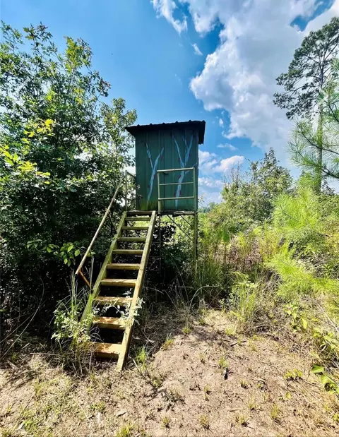 9 Nine Bridges Rd, Corrigan, TX 75939