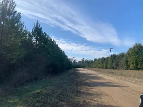0 Nursery Rd, Livingston, TX 77351