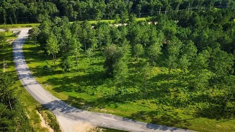 tbd Lot 5 Ridge Lake Rd, Livingston, TX 77351