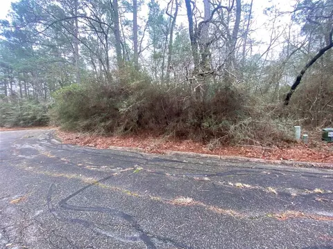 28605 Beechnut Ct, Huntsville, TX 77320