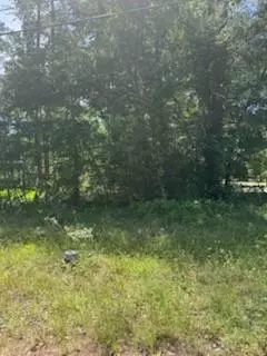 15871 Sycamore Dr, Montgomery, TX 77356