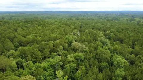 tbd County Road 2780, Colmesneil, TX 75938