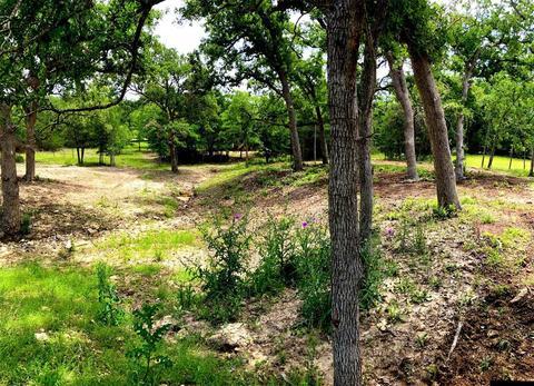 301 Apache Dr S, Somerville, TX 77879 photo 1