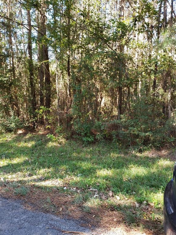 0 County Road 2097 Off