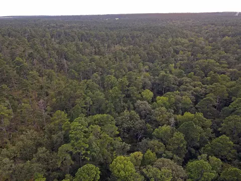 8301 State Highway 7 Hwy E, Centerville, TX 75833 photo 38