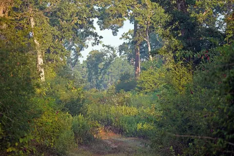 8301 State Highway 7 Hwy E, Centerville, TX 75833 photo 25