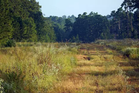 8301 State Highway 7 Hwy E, Centerville, TX 75833 photo 7