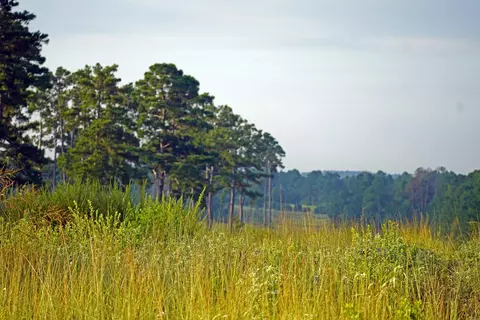 8301 State Highway 7 Hwy E, Centerville, TX 75833